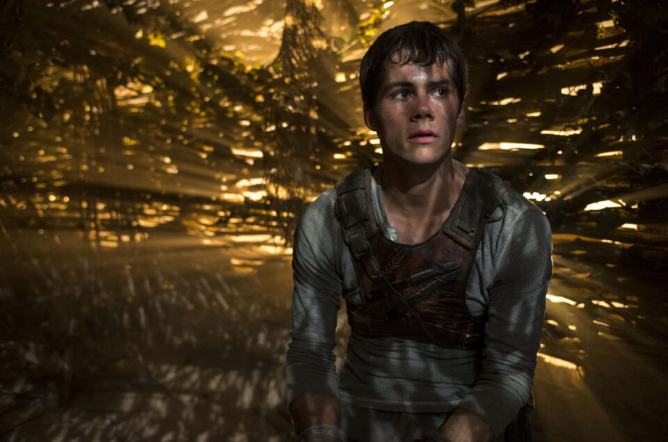 THE MAZE RUNNER